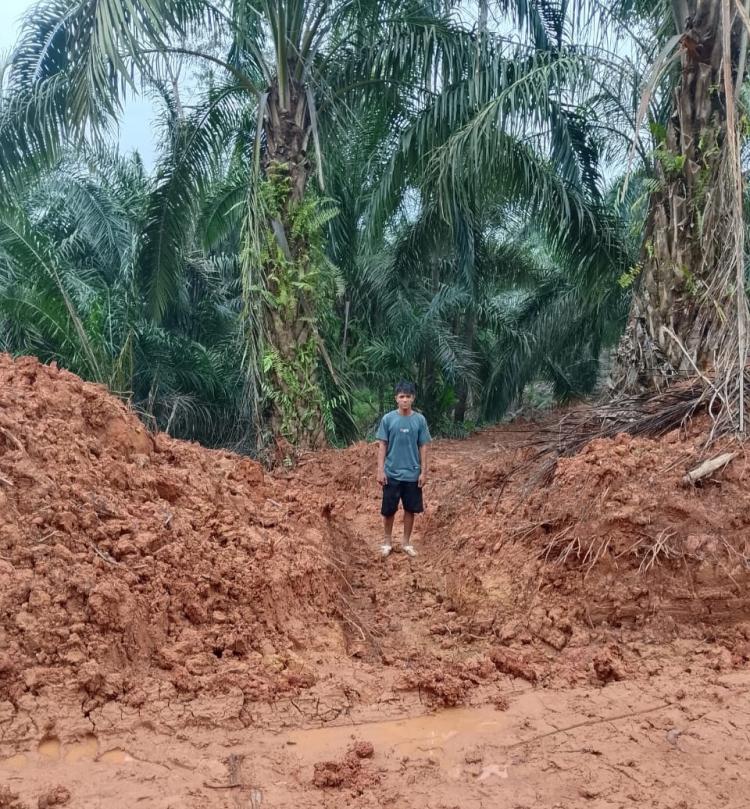 Konflik Lahan di Desa Talang Tujuh Buah Tangga: PT BBSI Diduga Rusak Jalan ke Pondok Warga