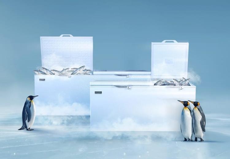MODENA Perkenalkan Chest Freezer Teranyar, Solusi Andal Berbagai Sektor Usaha