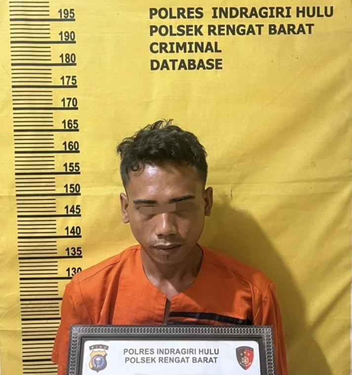 Polsek Rengat Barat Ringkus Pria Rudapaksa IRT di Inhu