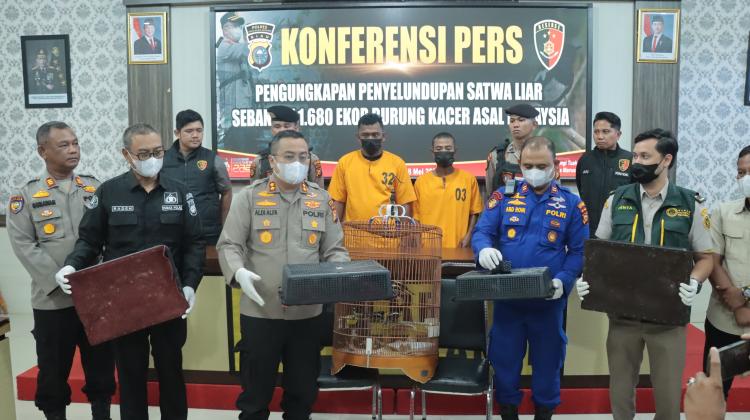 Polres Kepulauan Meranti Berhasil Ungkap Kasus Penyeludupan Ribuan Burung Kacer