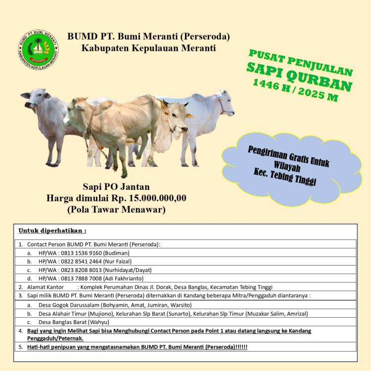 PT Bumi Meranti Tawarkan Sapi Qurban Idul Adha 2025 Harga Terjangkau