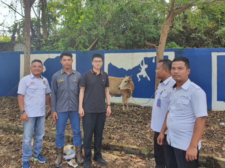 PT MAS dan CLS Serahkan Hewan Kurban ke Pemkab Inhu Jelang Idul Adha 1446 H