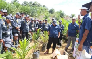 Bersama Ditjenbun dan BPDP, IPB Training Latih Petani Sawit Biar Profesional di Aceh
