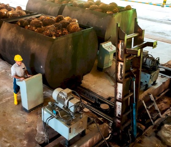Bioavtur Solusi Tekan Impor dan Jawab Tantangan Lingkungan