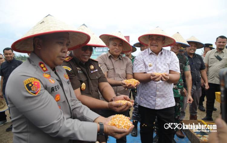 Panen Raya Jagung di Asahan, Polres dan Forkopimda Mantapkan Swasembada Pangan