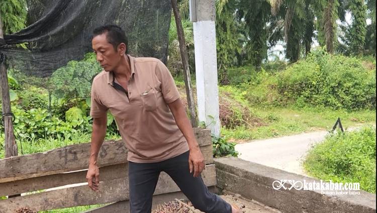 Sampai Tua Bakal Jadi Sopir Truk Sawit