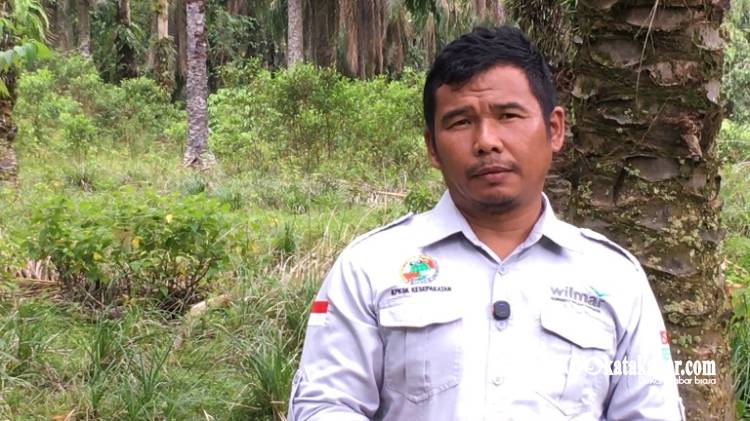 Sertifikasi ISPO Gotting Sidodadi