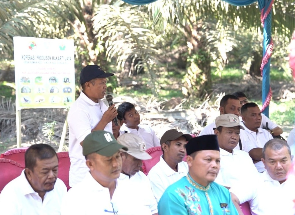 PalmCo, Subholding Holding PTPN Pahlawan Baru Ekonomi Rakyat