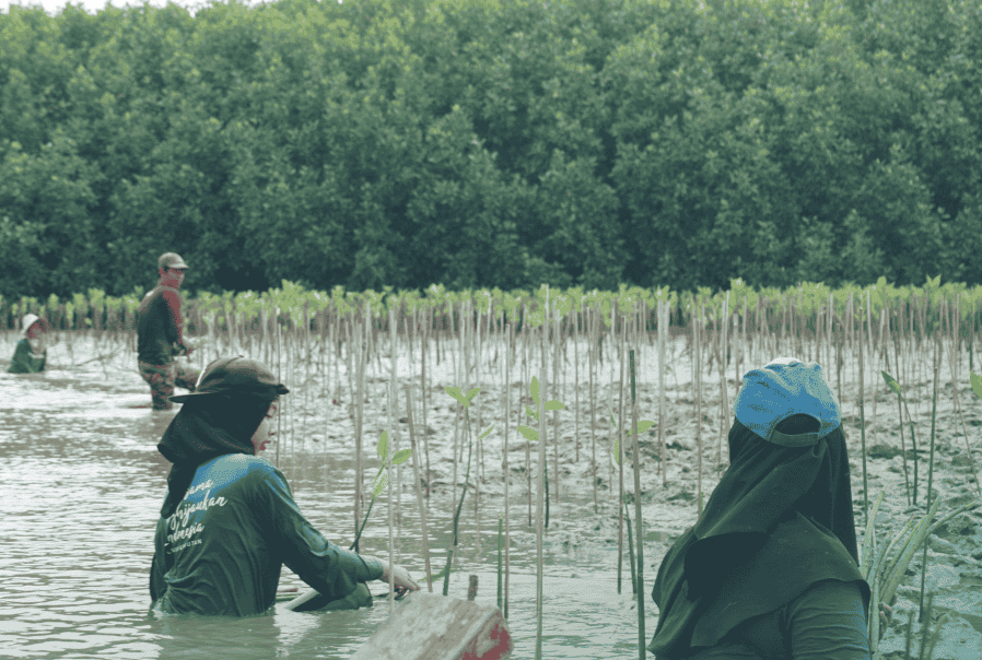 LindungiHutan Dorong Aksi Komunitas di Pantai Bahagia Bekasi