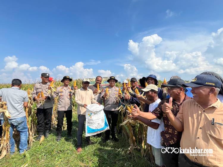 Kapolres Asahan Hadiri Panen Jagung Kuartal IV 2025, Dorong Swasembada Pangan di Rawang Panca Arga