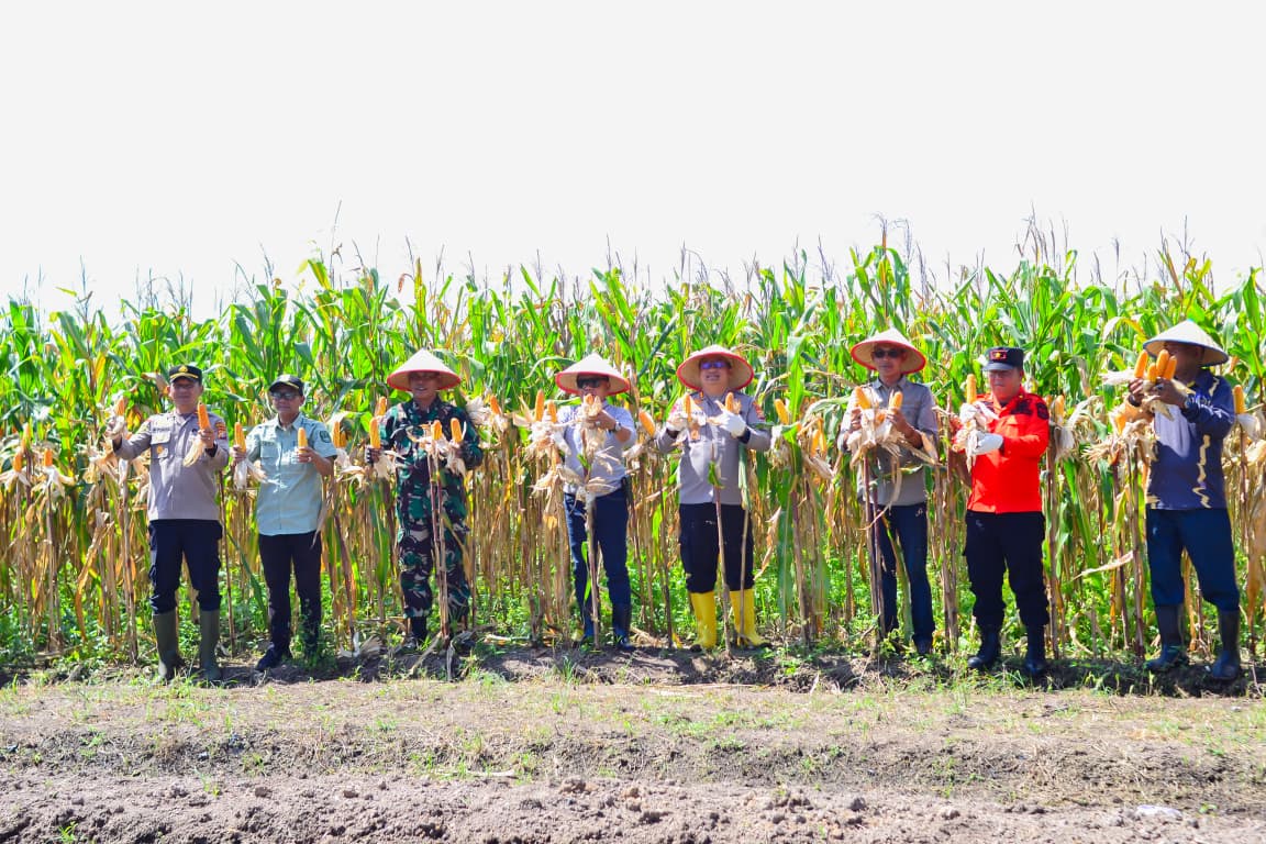 Resmikan Rumah Singgah Desa dan Panen Raya Jagung Pipil di Teluk Samak, Ini Asa H Asmar