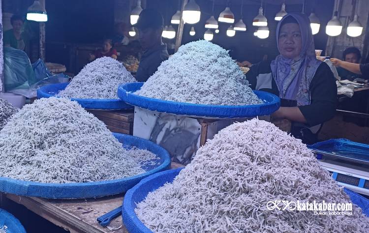 Dari Lorong Ikan Teri ! Harapan Baru Pedagang Pusat Pasar Medan Untuk Adira Finance