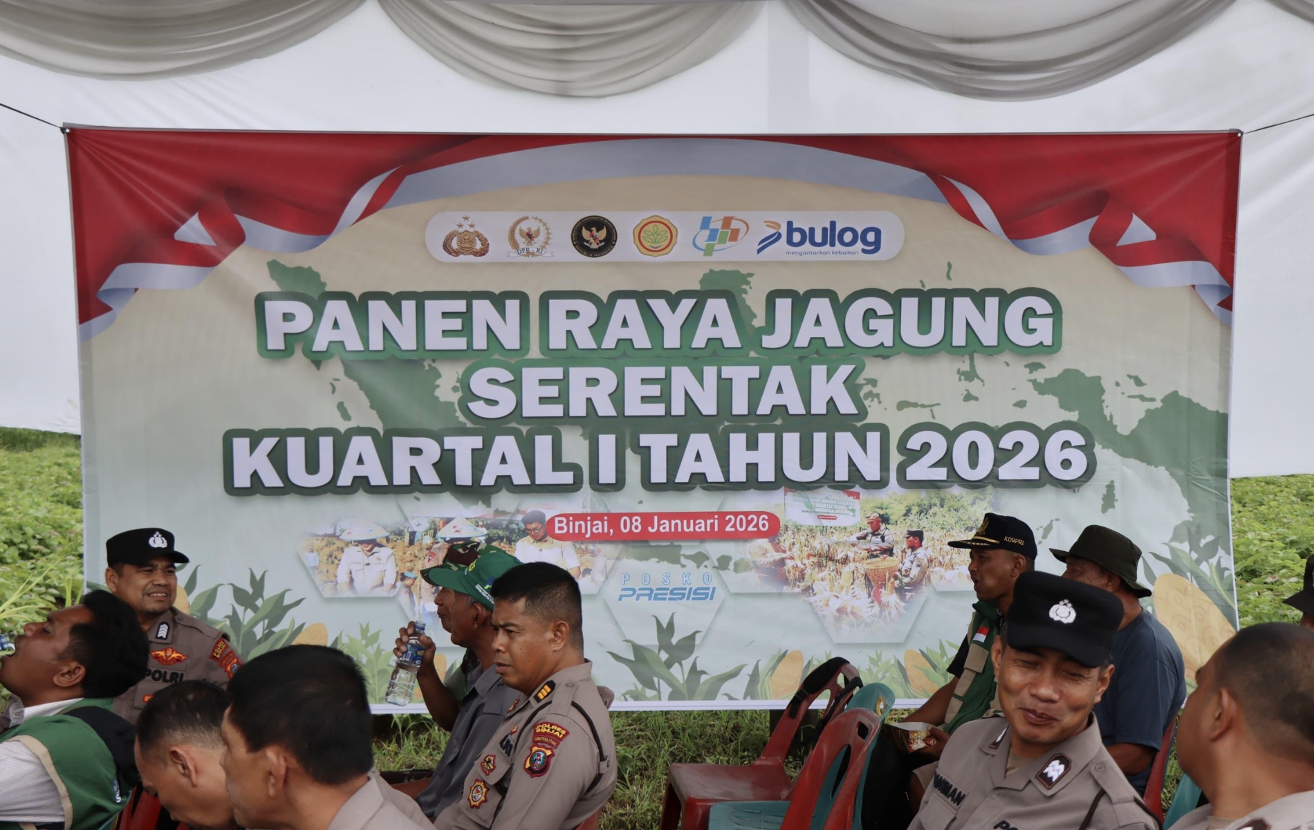 Perkuat Ketahanan Pangan, Pemko Binjai Ikuti Panen Raya Jagung Serentak Nasional