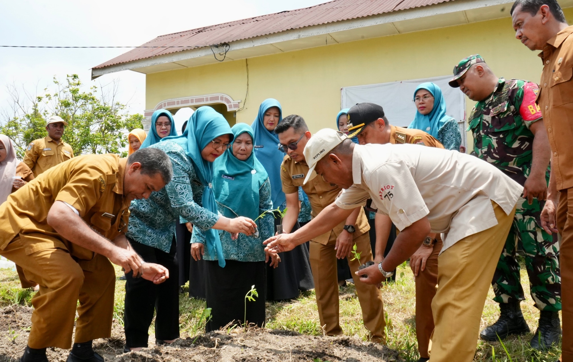TP PKK Binjai Dorong Ketahanan Pangan Lewat Penanaman Sayur