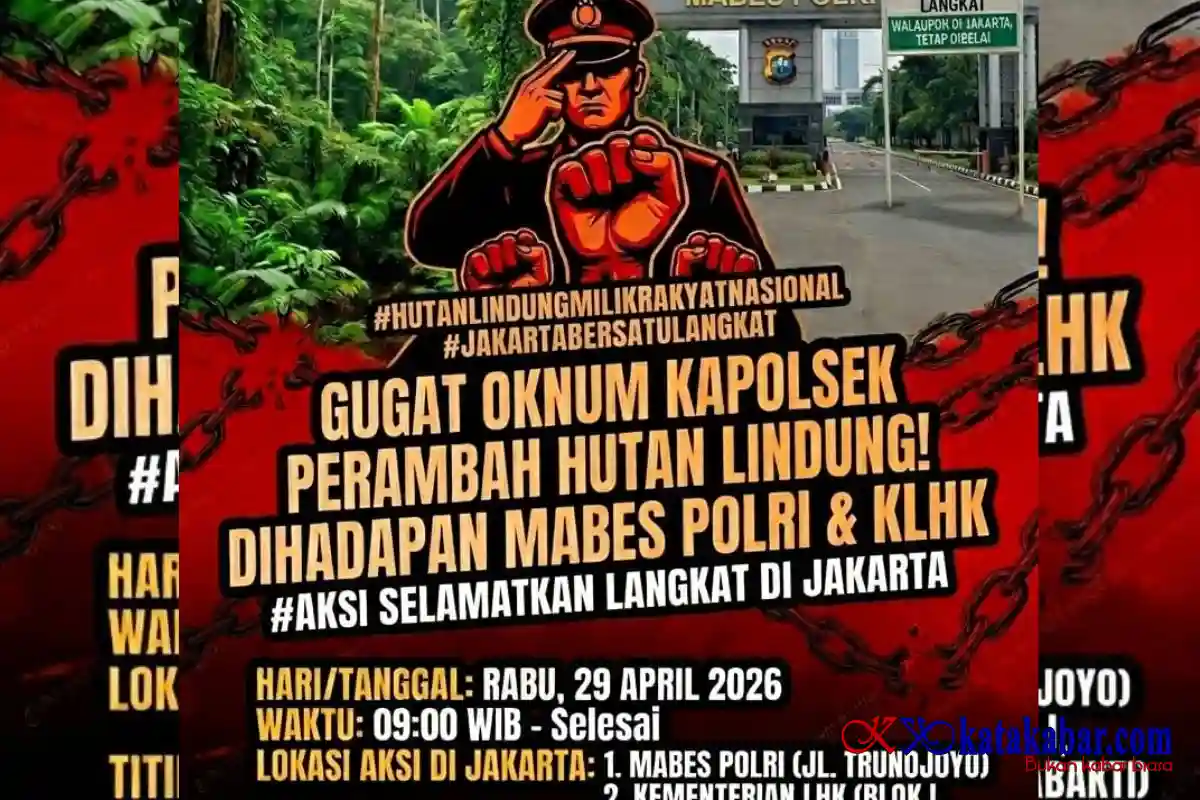 Dugaan Perambahan Hutan Lindung Langkat Libatkan Oknum Aparat