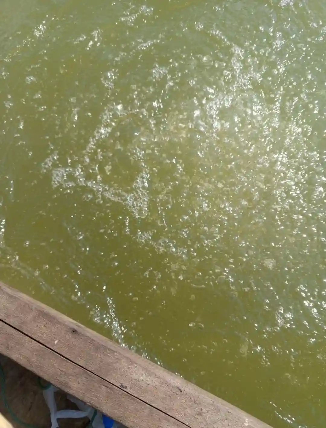 Matikan Aliran Gas, Respon Cepat Pertamina EP Tangani Kebocoran Pipa Gas di Lepas Pantai Langkat