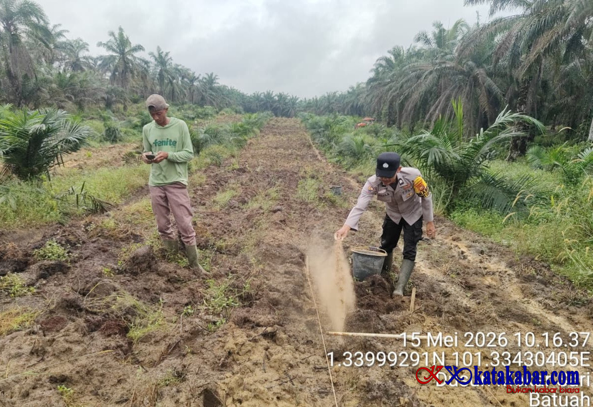 Dorong Masyarakat Manfaatkan Lahan, Polsek Mandau Gencarkan Penanaman Jagung Pipil