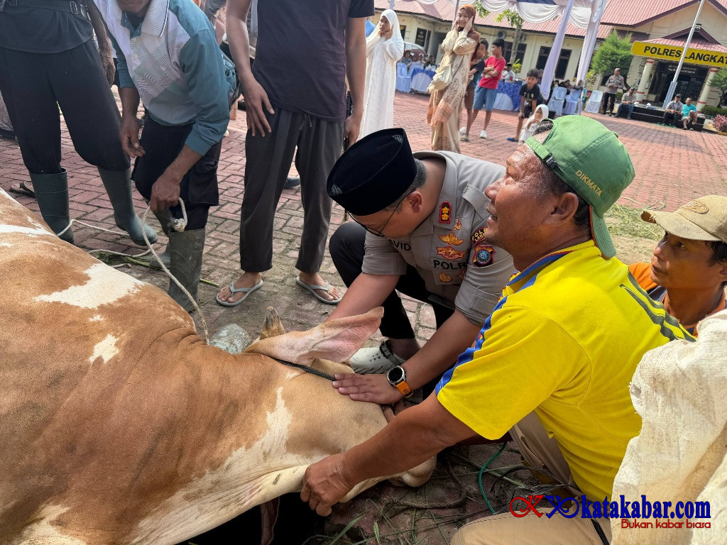 Idul Adha Penuh Kepedulian, Kapolres Langkat Pimpin Penyembelihan Hewan Kurban untuk Ribuan Warga