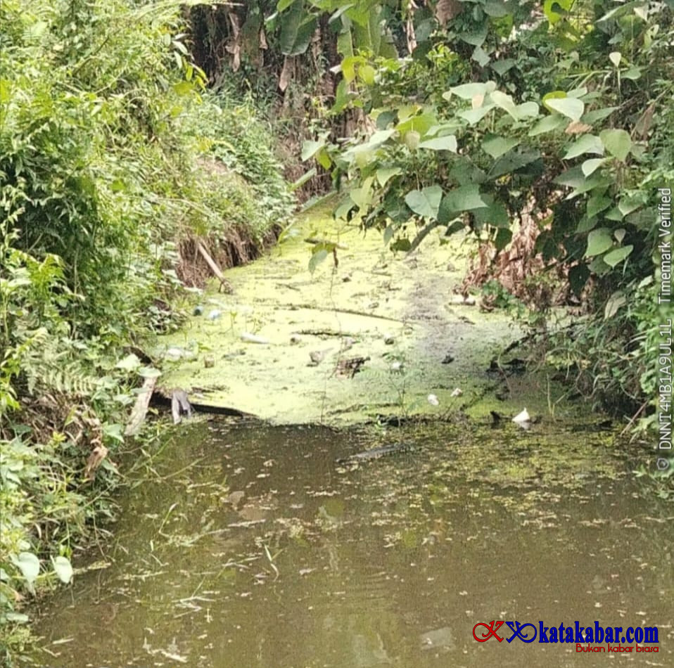 Jangan-jangan PKS SSM Bandal Punya Beking! Normalisasi Sungai Bawak Diabaikan