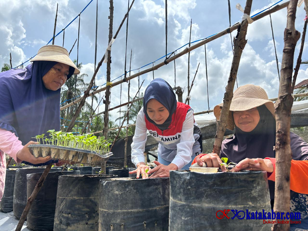 Empat Kali Gagal dan Lumpuh Karena Stroke, Petani Melon Aceh Bangkit Bersama Pertamina
