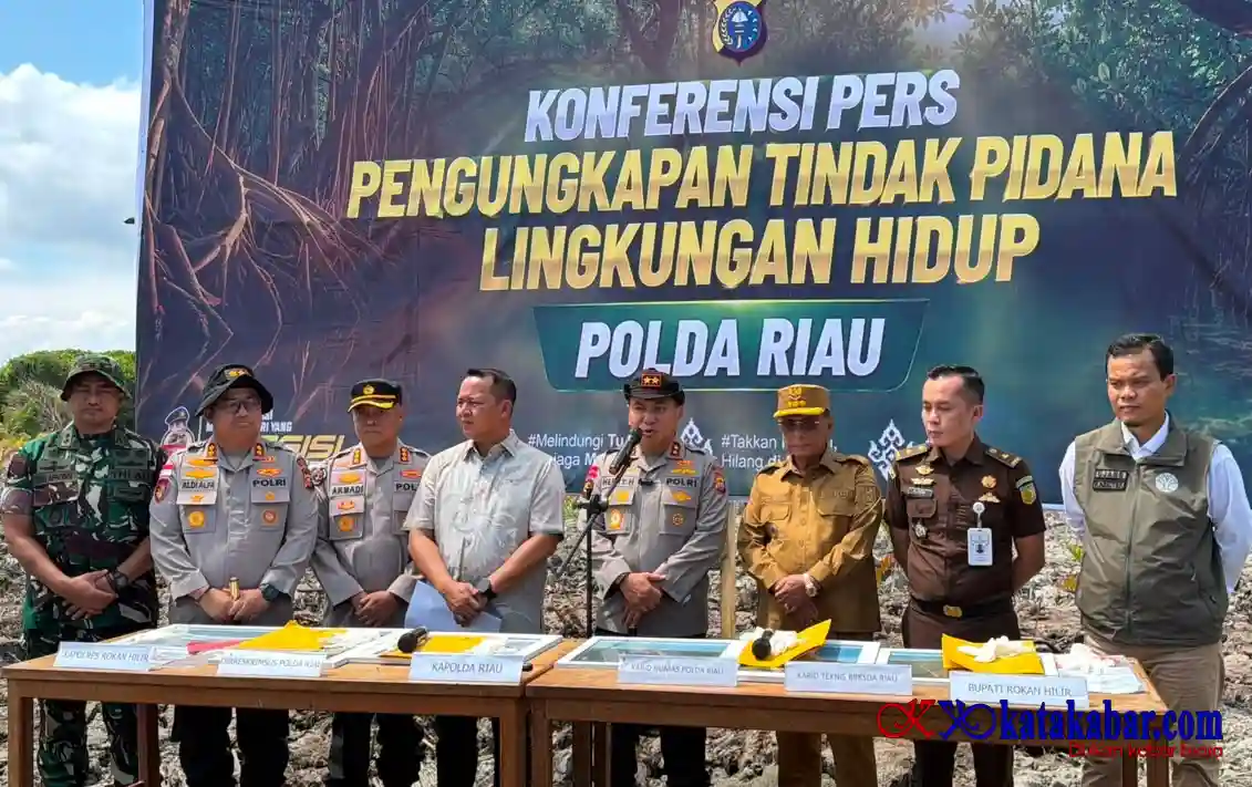 Mangrove Dirusak di Rohil, Kapolda Riau Geram: Ini Benteng Masyarakat Pesisir Tempat Satwa Berkembang Biak