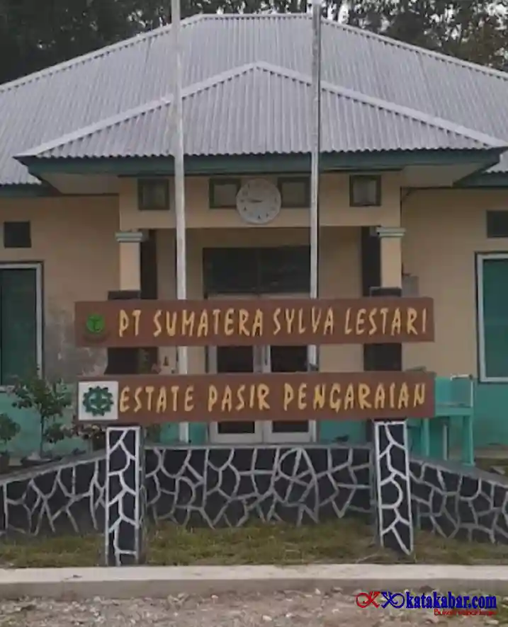 Tanpa Payung Hukum, PT SSL Babat dan Kuasai Hutan Leluhur Rokan Hulu Seluas 42.530 Hektar