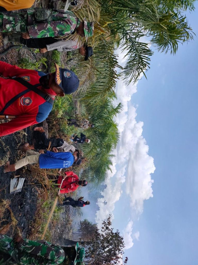 Awal Tahun, 15 Hektar Lahan di Siak Terbakar
