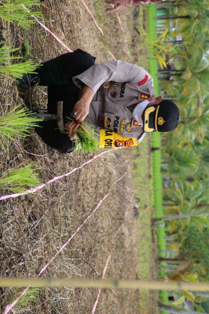 HUT Bhayangkara, Polisi Bantu Tanam Padi di Inhil