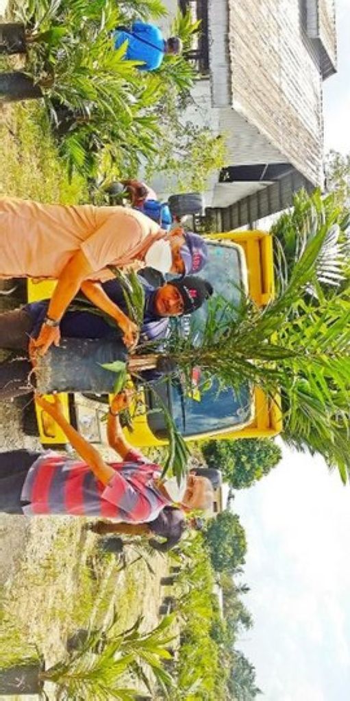 Petani di Daerah Kini Dapat Membeli Bibit Sawit Bersertifikat lewat Aplikasi
