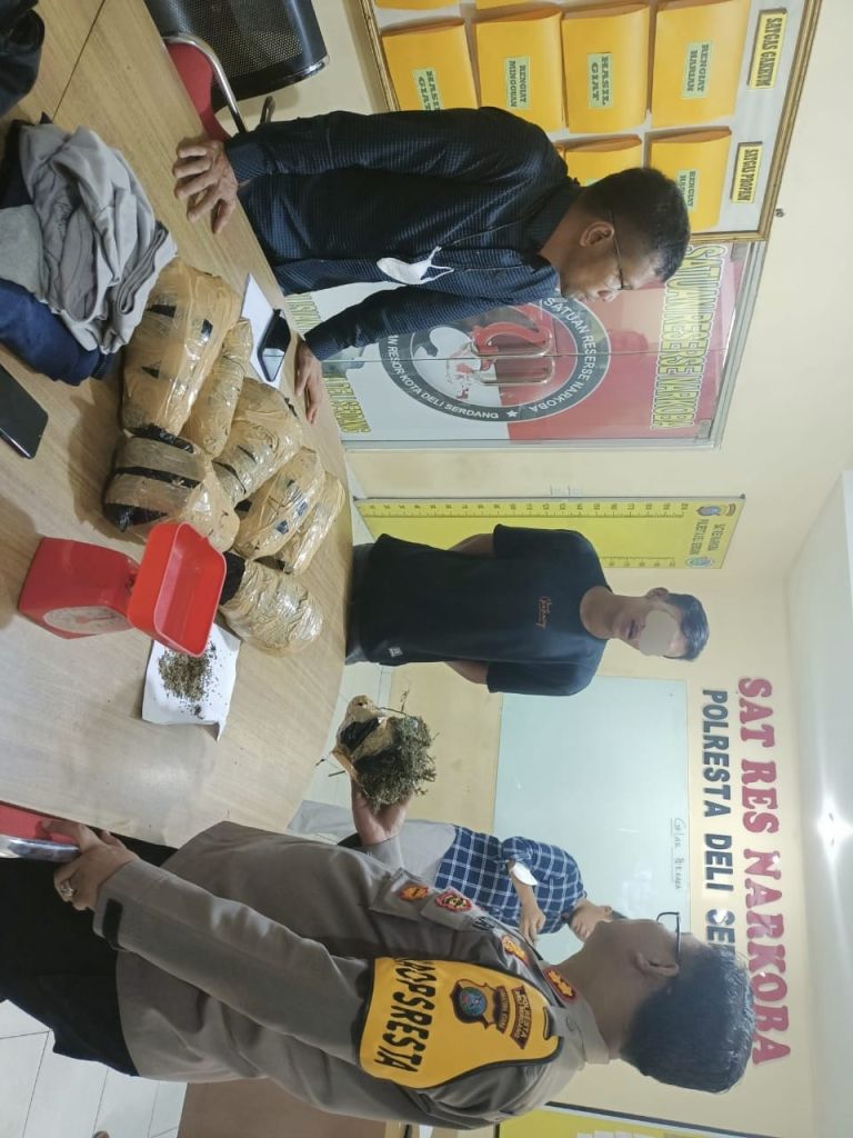 Polresta Deli Serdang Gagalkan Peredaran Ganja Antar Provinsi